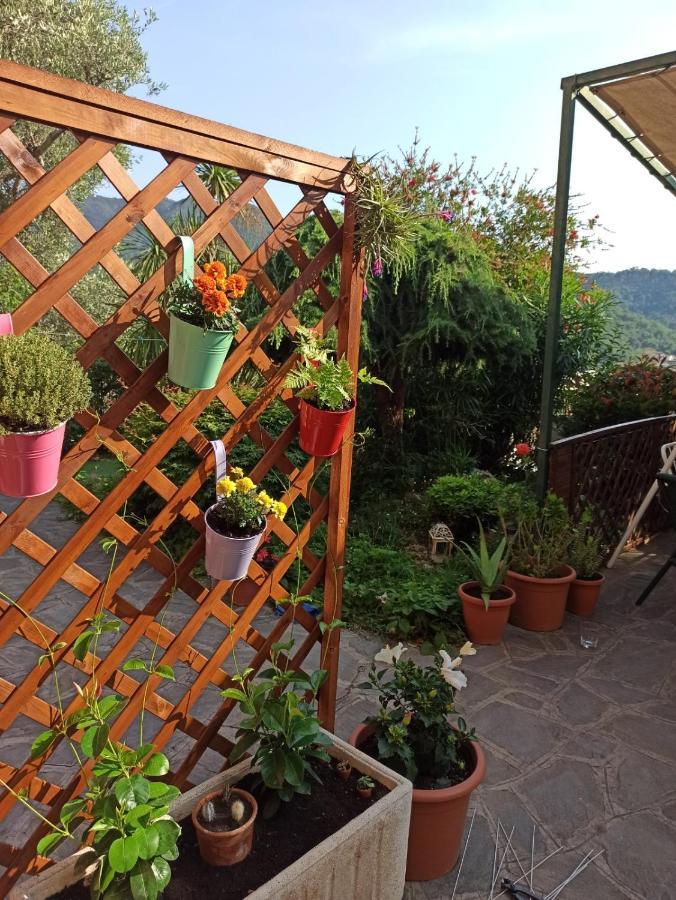 Il Glicine Cozy Appartamnent, Near Sestri Levante Between Cinque Terre E Portofino Казарца-Лігуре Екстер'єр фото