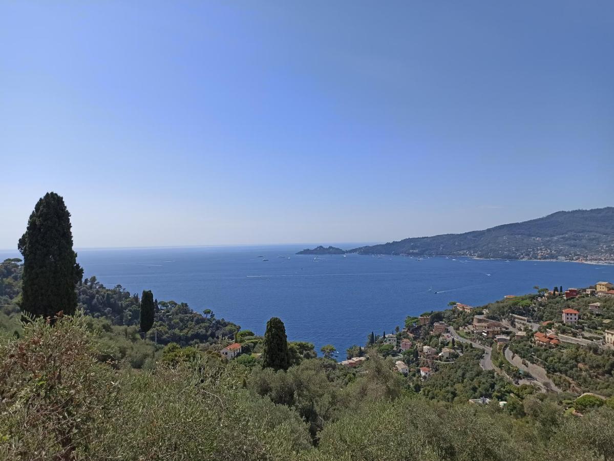 Il Glicine Cozy Appartamnent, Near Sestri Levante Between Cinque Terre E Portofino Казарца-Лігуре Екстер'єр фото