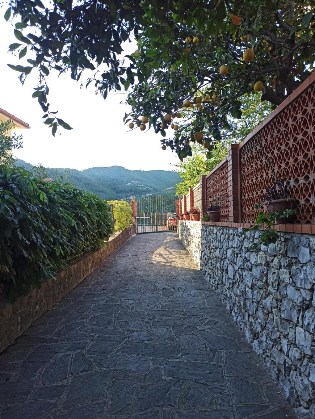 Il Glicine Cozy Appartamnent, Near Sestri Levante Between Cinque Terre E Portofino Казарца-Лігуре Екстер'єр фото